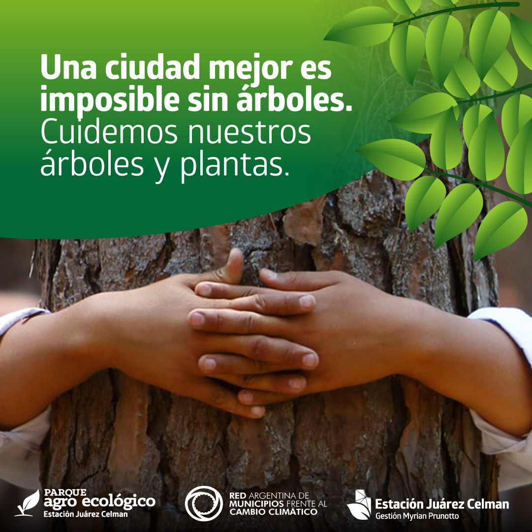 Consejos para cuidar nuestros árboles y pantas_Estación Juárezz Celman Gestión Myrian Prunotto (2)