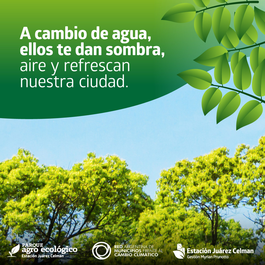 Consejos para cuidar nuestros árboles y pantas_Estación Juárezz Celman Gestión Myrian Prunotto (3)